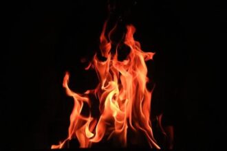 burn rate shiba inu