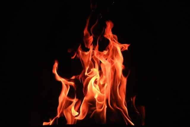 burn rate shiba inu