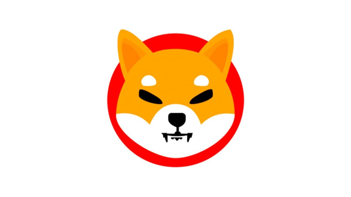 shiba inu