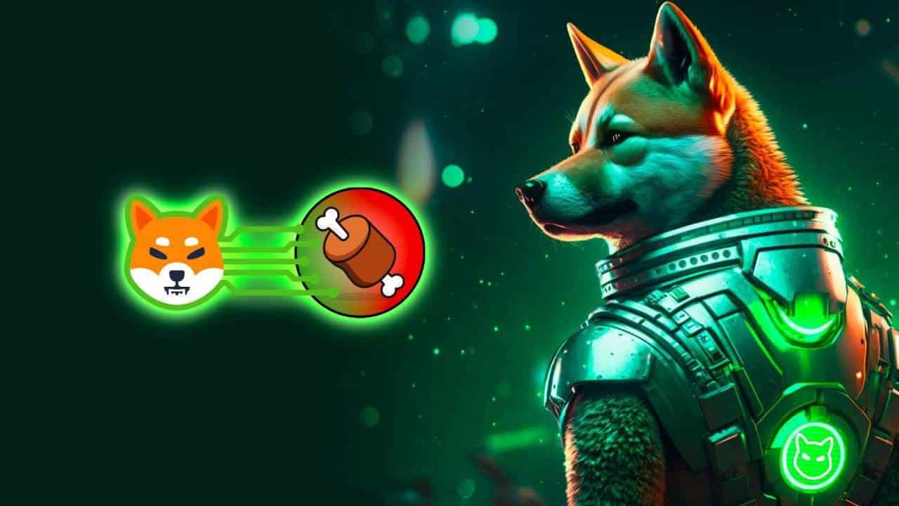 Shibarium op Shiba Inu (SHIB)