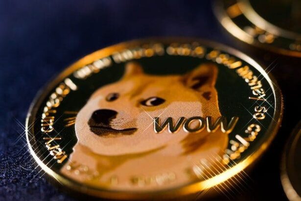 DOGE crypto coin