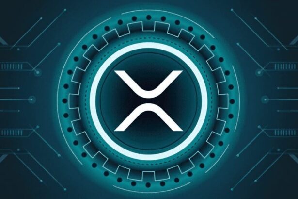 Ripple is positief over de toekomst