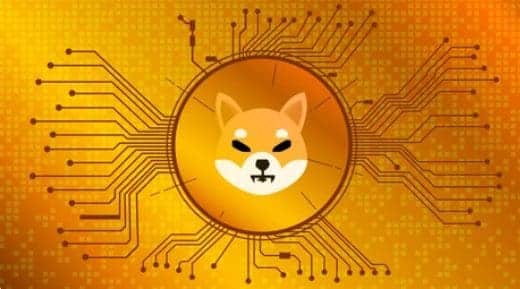 Shiba Inu Shibarium