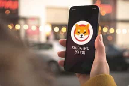 Shiba Inu metaverse