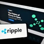 ripple onderzoek
