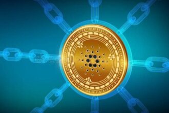 Cardano (ADA) Hydra Head protocol