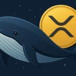 Grote Ripple whale opent miljoenenpositie op XRP