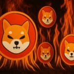 Shiba Inu burn rate schiet omhoog: 49 miljoen SHIB verbrand in 24 Uur