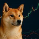 Analyse: Shiba Inu koers en burnrate schieten omhoog