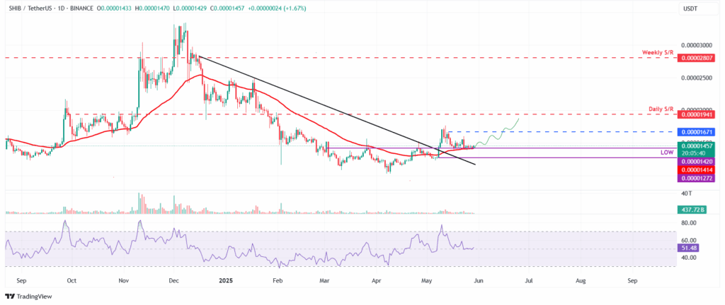 SHIBUSDT dagelijkse koers grafiek - 29 mei 2025.