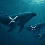 XRP verwachting mei 2025: Koers richting $4 door whales?
