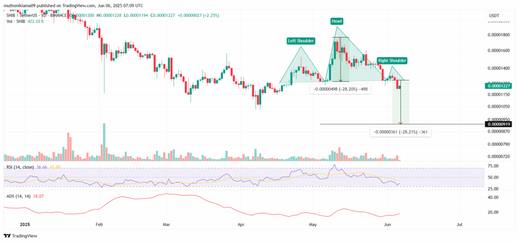 SHIBUSDT wekelijkse koers grafiek - 6 juni 2025