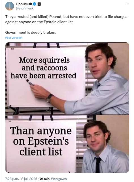 X bericht Elon Musk