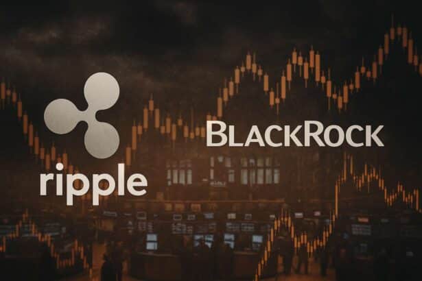 Ripple en BlackRock samenzweringstheorie zorgt voor ophef