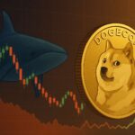 Dogecoin nieuws: Whales kopen 1 miljard DOGE tijdens koersdip