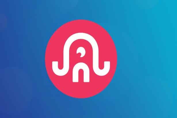 Hoe koop ik Ika (IKA) in Nederland en België?