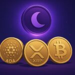 Midnight Airdrop LIVE: Gratis NIGHT voor ADA, XRP, BTC en ETH