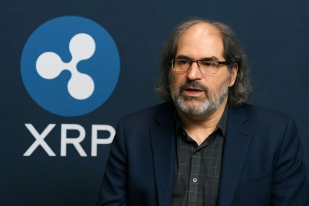 Ripple-CTO biedt open XRP Ledger uitleg na felle kritiek