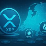 XRP populairste in Nederland, Spark en MAGIC verrassen