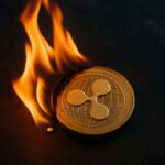XRP-burns zakken naar dieptepunt: slechts 163 tokens vernietigd