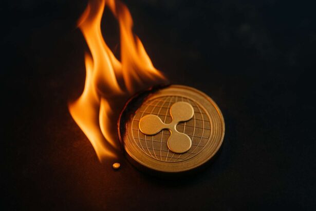 XRP-burns zakken naar dieptepunt: slechts 163 tokens vernietigd