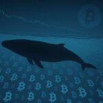 Hyperunit Whale bouwt $15 miljoen shorts af na Bitcoin daling