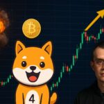 Explosieve stijging meme-token 4 na BNB Chain hack en CZ tweet