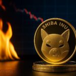 Shiba Inu burn rate keldert 99% na crypto-liquidatiegolf