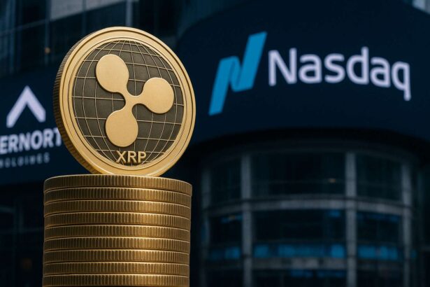XRP-voorraad Evernorth groeit tot 388 miljoen voor Nasdaq