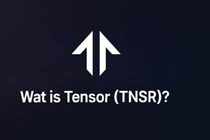 Wat is Tensor (TNSR)?