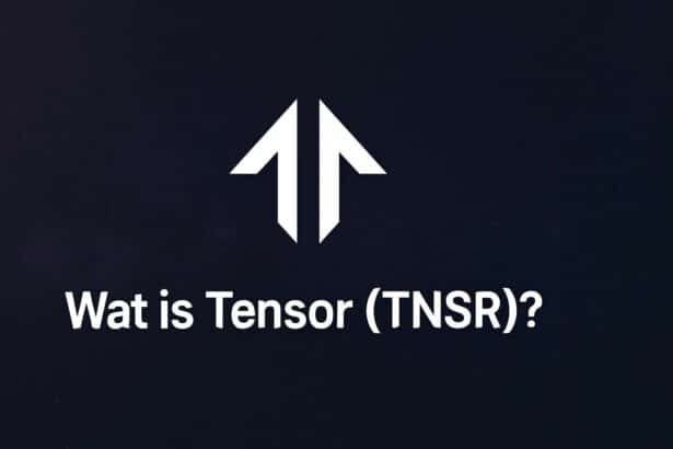 Wat is Tensor (TNSR)?