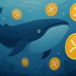 Whale verplaatst $224 miljoen aan XRP: wie zit erachter?