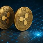 XRP Nieuws: 126 miljoen XRP verplaatst door Evernorth